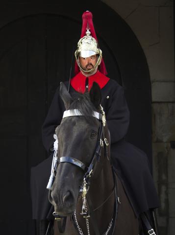 Jamie Horse Guard