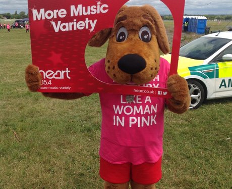 Race For Life Aintree Race Course 2015