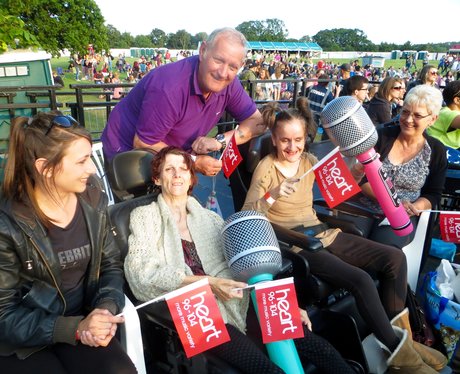 Alive @ Delapre 2015 - McBusted