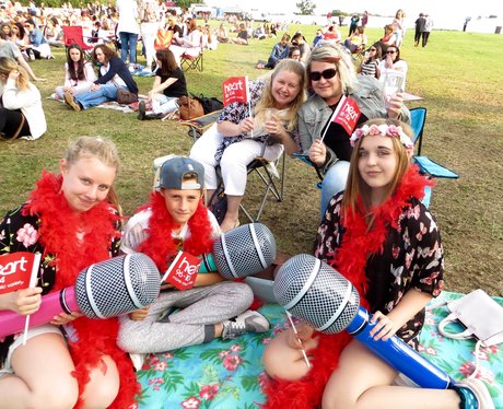 Alive @ Delapre 2015 - McBusted