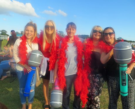Alive @ Delapre 2015 - McBusted