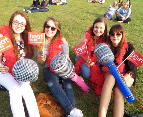 Alive @ Delapre 2015 - McBusted