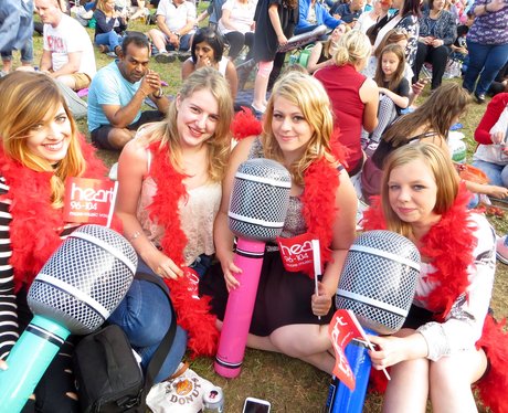 Alive @ Delapre 2015 - McBusted