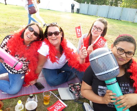 Alive @ Delapre 2015 - McBusted