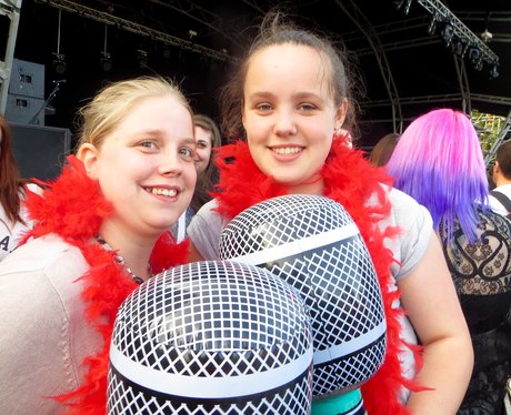 Alive @ Delapre 2015 - McBusted