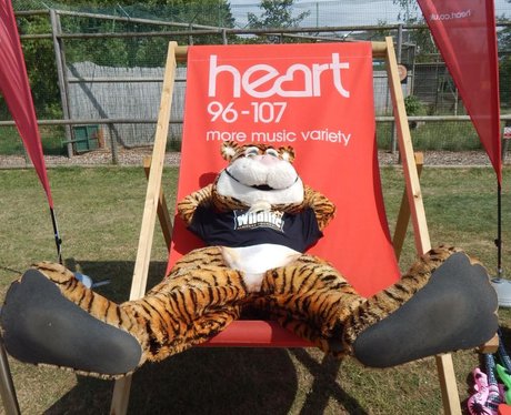 Heart Angels: Big Cat Sanctuary - Day Two (17th Ju