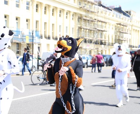 The Brighton Pride Parade
