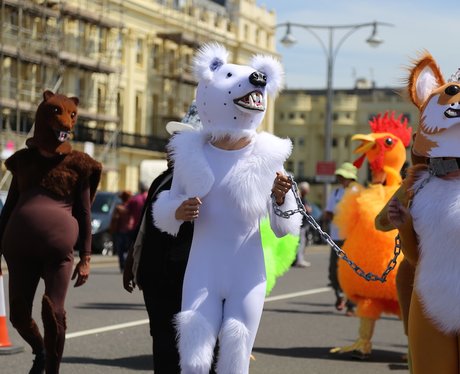 The Brighton Pride Parade