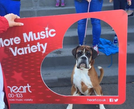 Scottish Half Marathon
