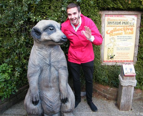 The Heart Angels visit Drusillas Park!