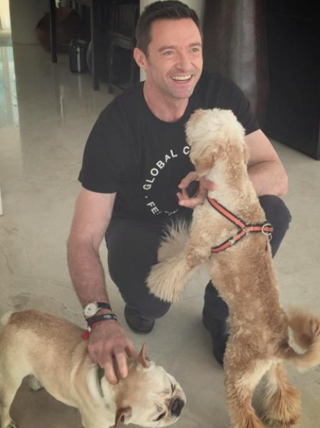 Hugh Jackman and his dogs
