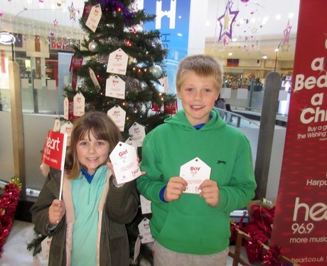 Harpur Centre Wishing Tree - 21st November 2015