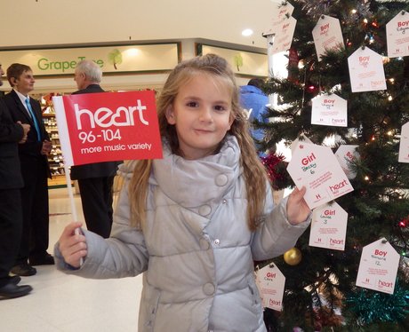 Harpur Centre Wishing Tree - 28th November 2015
