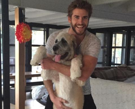 Liam Hemsworth with Rescue Dog