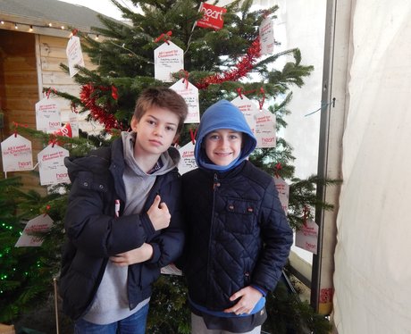 Rainfords Christmas Tree Land