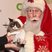 Image 2: Grumpy cat with santa claus