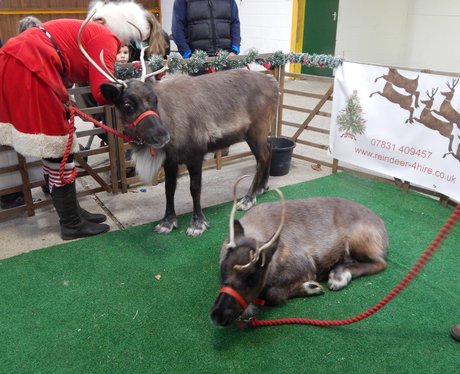Heart Angels at the Reindeer Roundup