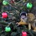 Image 3: Monkey in a christmas tree