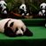 Image 6: Panda baby