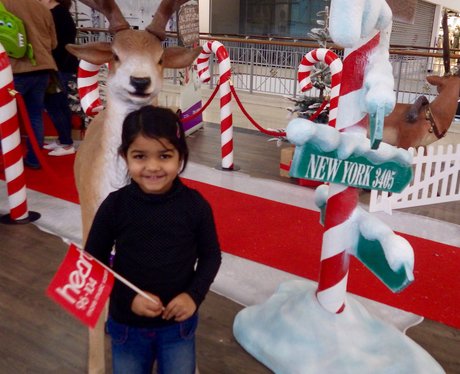 Hotline To Santa - 12th & 13th December 2015