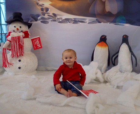 Hotline To Santa - 15th & 16th December 2015