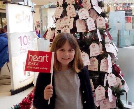 Harpur Centre Wishing Tree - 6th December 2015