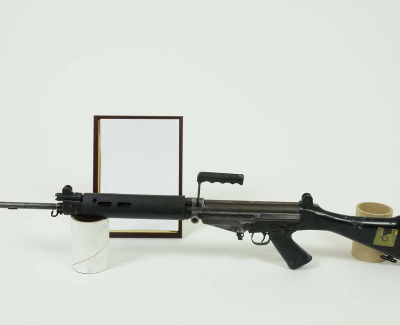 Firearm Hoard