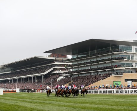 Cheltenham Festival 2016 - Champions Day