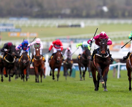 Cheltenham Festival 2016 - Gold Cup Day