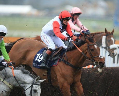 Cheltenham Festival 2016 - Gold Cup Day