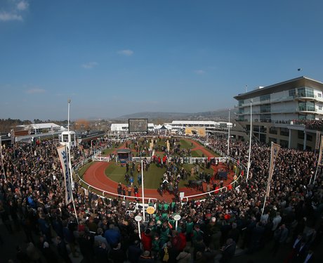 Cheltenham Festival 2016 - St Patricks Thursday