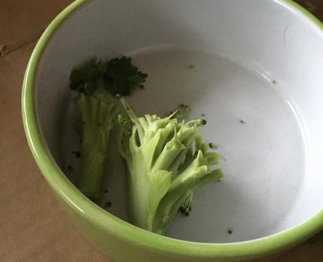 Boring Broccoli 