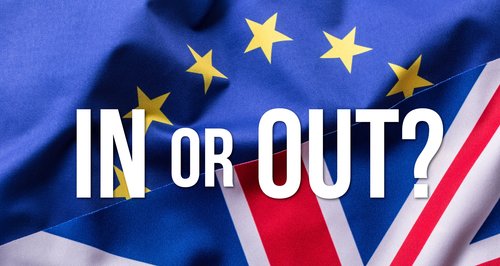 EU Referendum In out