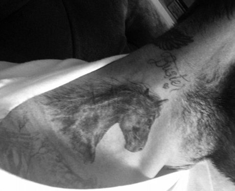 David Beckham horse tattoo