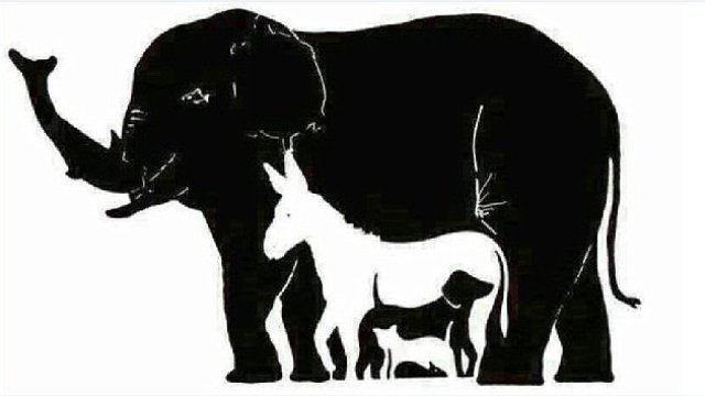 How Many Animals Can YOU See? This Latest Illusion Is Driving Internet Mad!  - Heart