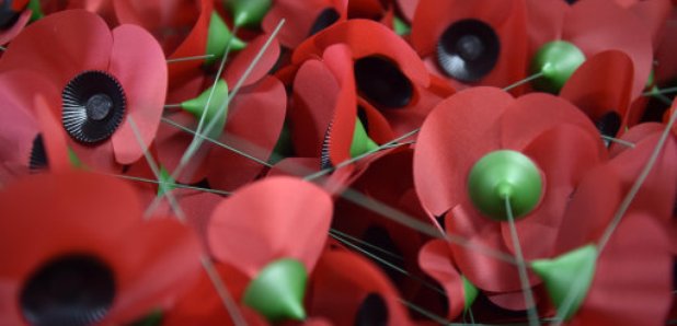 Remembrance poppies