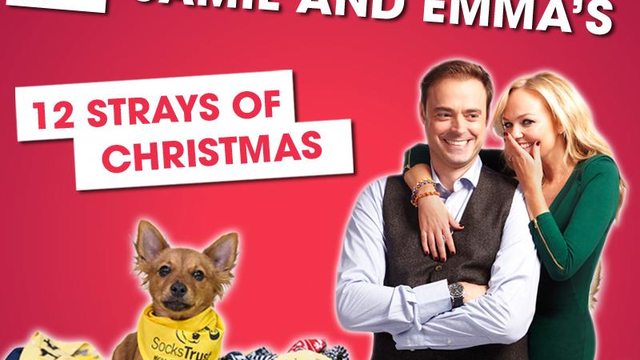 Jamie And Emma's 12 Strays Of Christmas! - Heart London