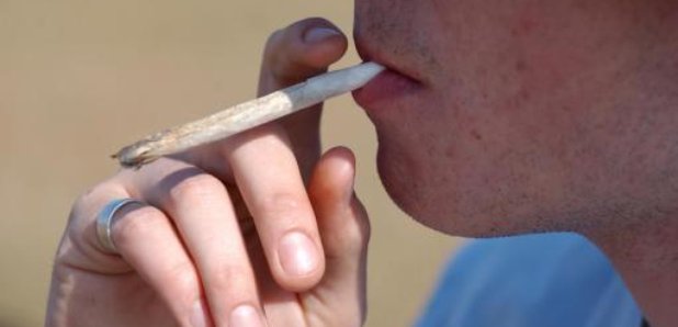 cannabis