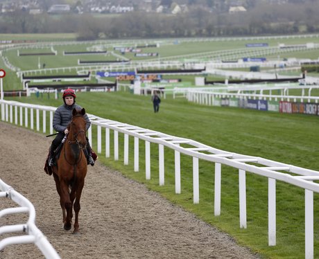 2017 Cheltenham Festival - Champion Day - Cheltenh