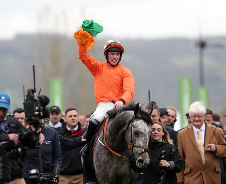 2017 Cheltenham Festival - Champion Day - Cheltenh