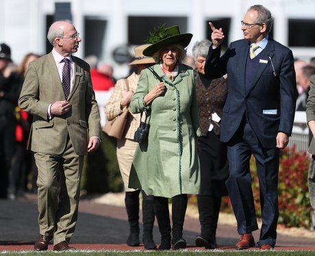 2017 Cheltenham Festival - Ladies Day - Cheltenham