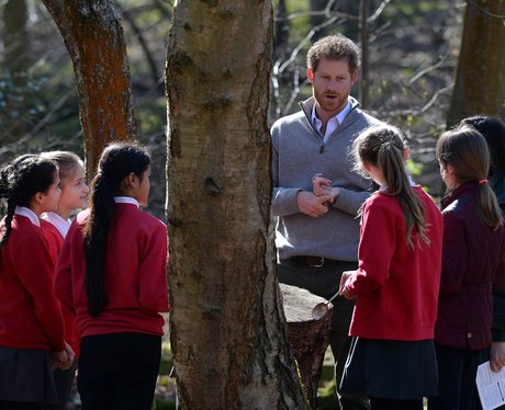 Prince Harry In Epping Forest