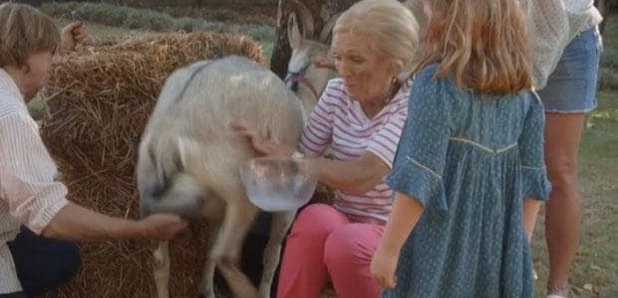 Mary Berry Is Attacked By A GOAT On Her Cooking Sh