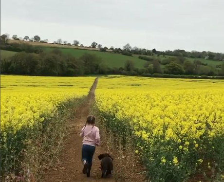 Follow The Yellow Brick Road, Harper!