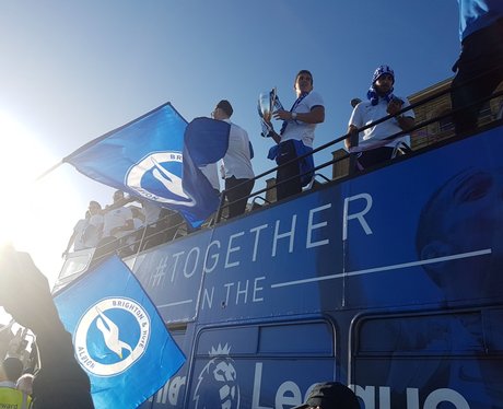 Seagulls Parade