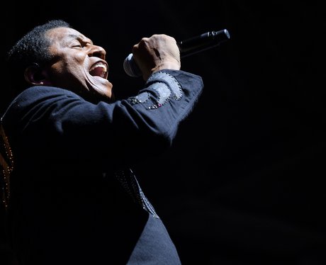 Newmarket Nights with The Jacksons