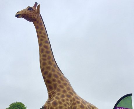 Royal Norfolk Show 2017