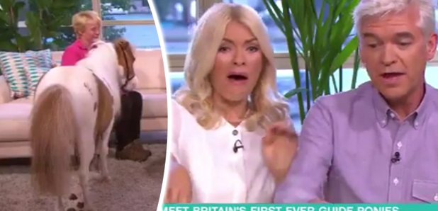 There's Utter Chaos On This Morning As A Horse Poo