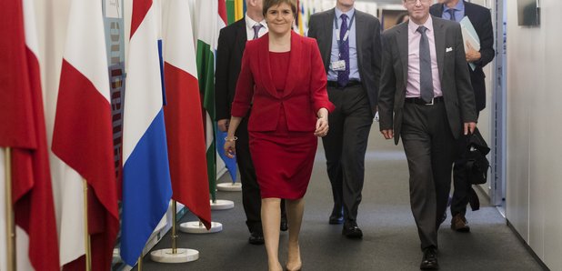 Sturgeon