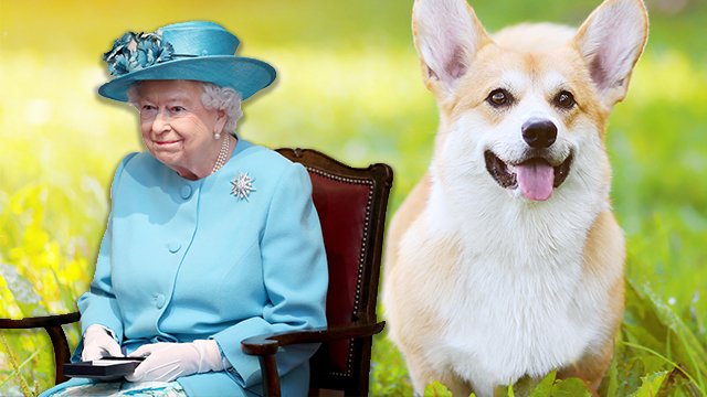 There Is A New Furry Member Of The Royal Family!